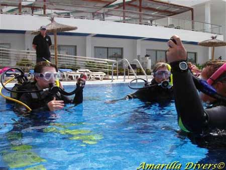 Diving courses in Tenerife